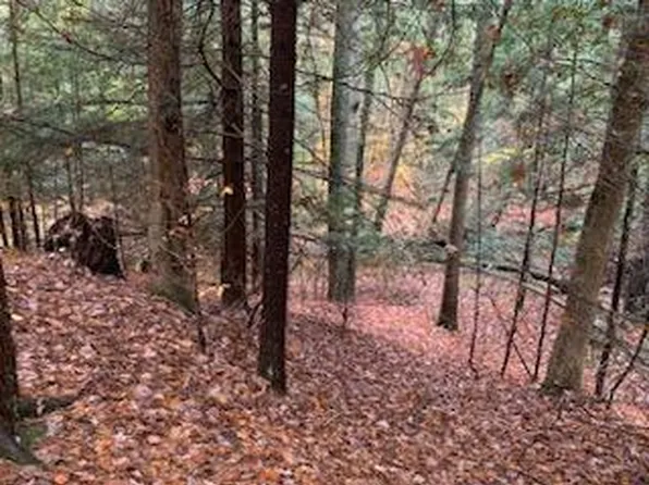 1231 E Wilke Rd, Rothbury, MI 49452