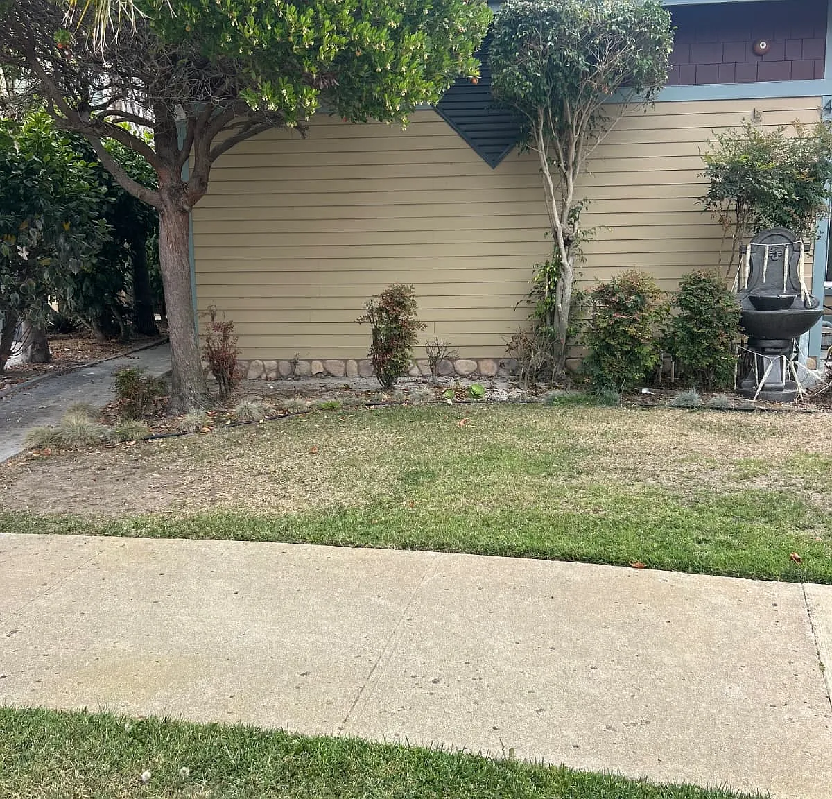 1 bed, 540 sqft, $2,500 — Photo 2