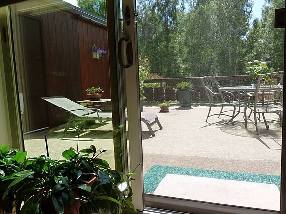 Looking out from the Living Room