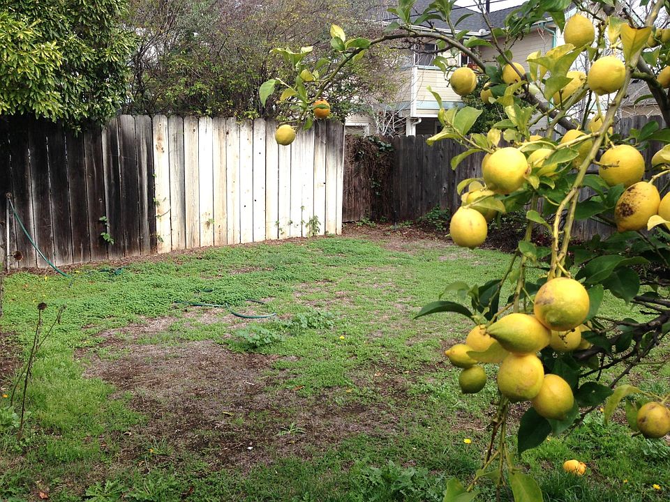 2nd image of 454 Pismo St