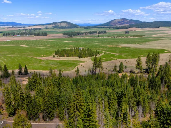 11 Lonely Moose Ln, Plummer, ID 83851