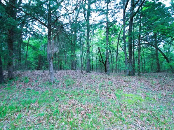 0 Fm 197, Sumner, TX 75486