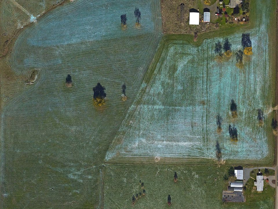 2nd image of 11160 Whiteaker Rd