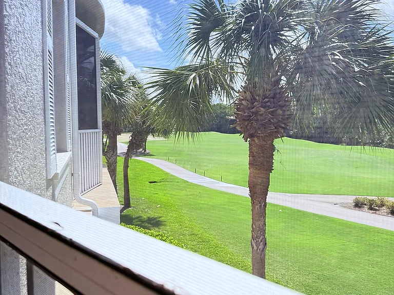 Patio view