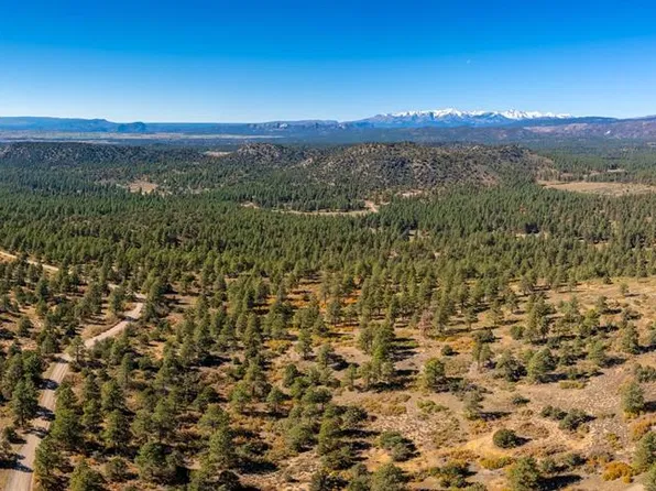 Lot 3 Foxfire Ranch, Bayfield, CO 81122