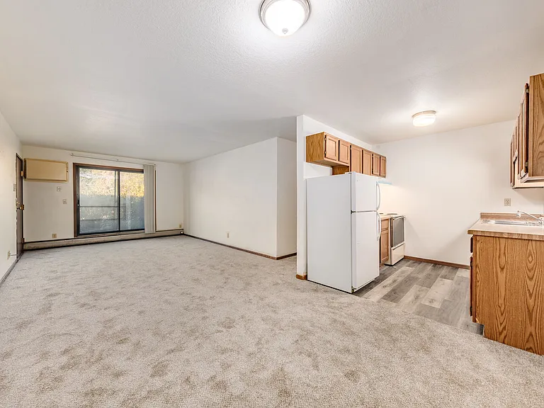 Dining/Living Room