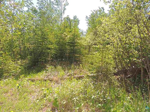 3rd image of 13X Birch Dr