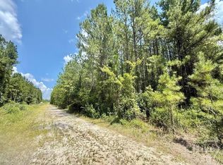 1 Firetower Road, Ludowici, GA 31316
