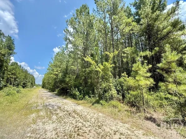 1 Firetower Road, Ludowici, GA 31316