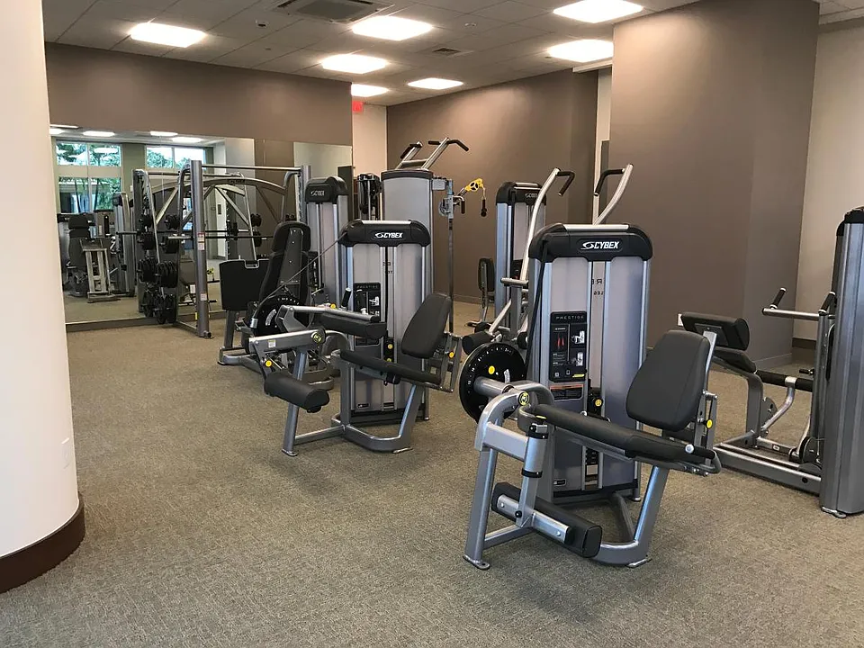Machines (shown) and free weights