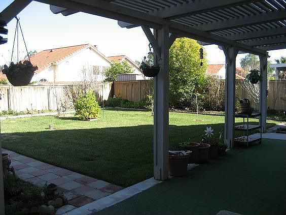 Great Back Yard