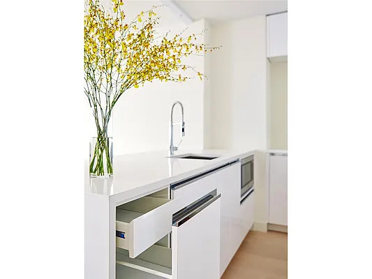 Rented by Douglas Elliman | media 8