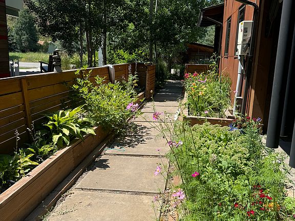 Side yard