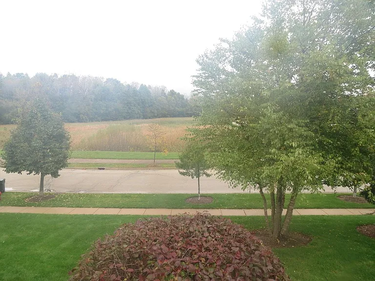 465 Cary Woods Cir — Photo 16