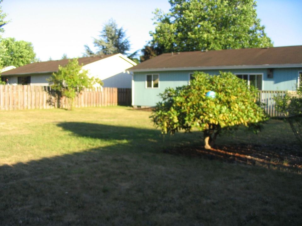Large Backyard