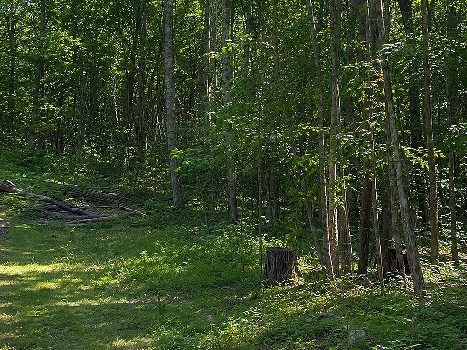 1st image of Birchcurve Rd