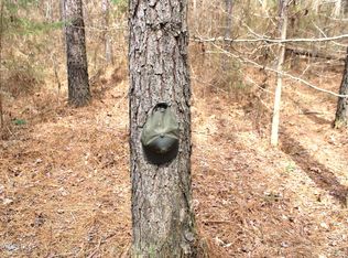 Raytown Rd, Canton, MS 39046