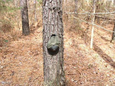 Raytown Rd, Canton, MS, 39046