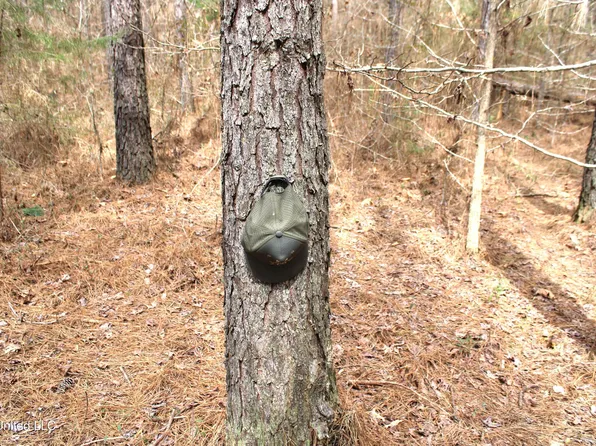 Raytown Rd, Canton, MS 39046