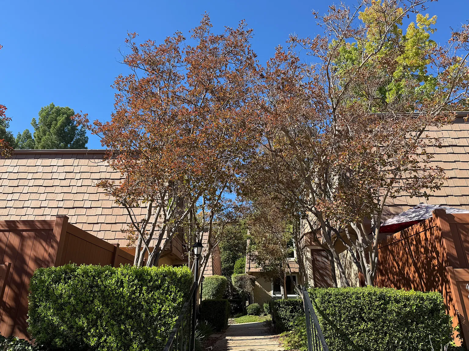 2 bed, 1.5 bath, 1127 sqft, $3,300 — Photo 2