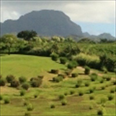 3rd image of LOT 69