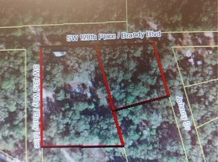 4333 SW 128th Pl, Webster, FL 33597