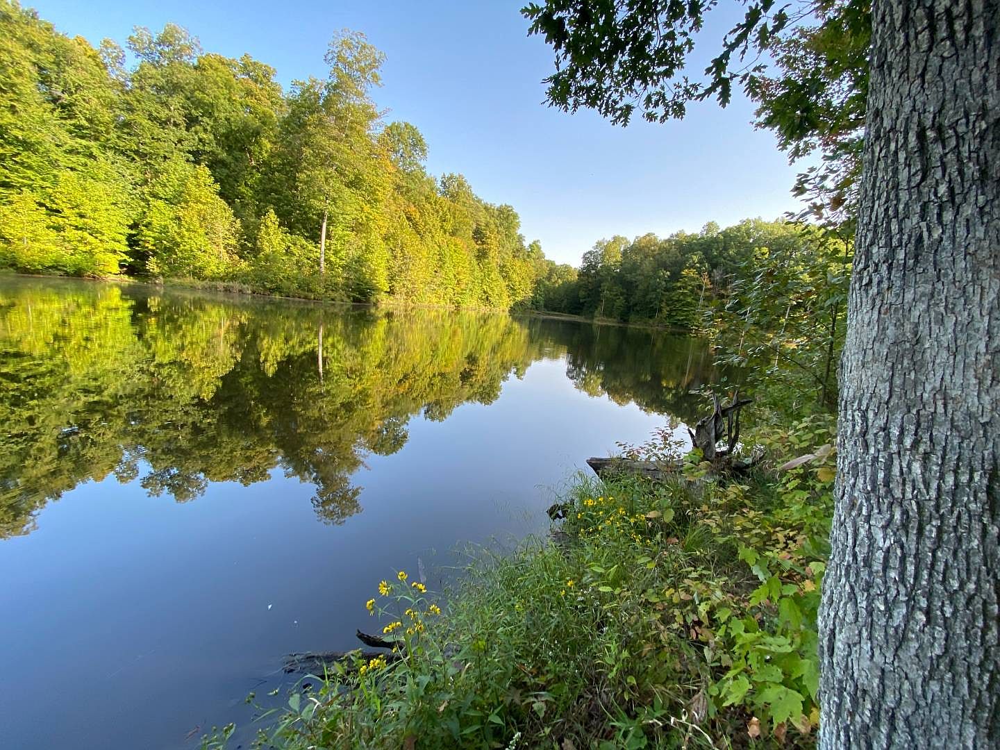 11085 Cut Through Rd, Cloverdale, IN 46120 | Zillow