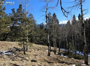 51 Mica Rd, Divide, CO 80814