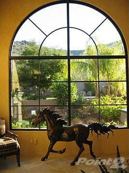 Backyard from Grand Room