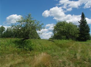 Birchwood Ln, Butternut, WI 54514