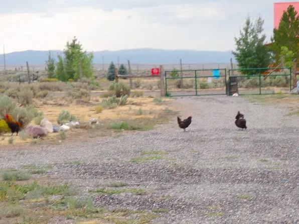 4651 N Peak View Rd, Panguitch, UT 84759