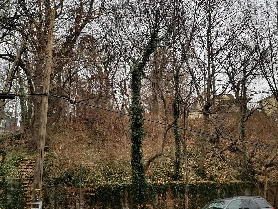 2nd image of 284 Saint Pauls Ave