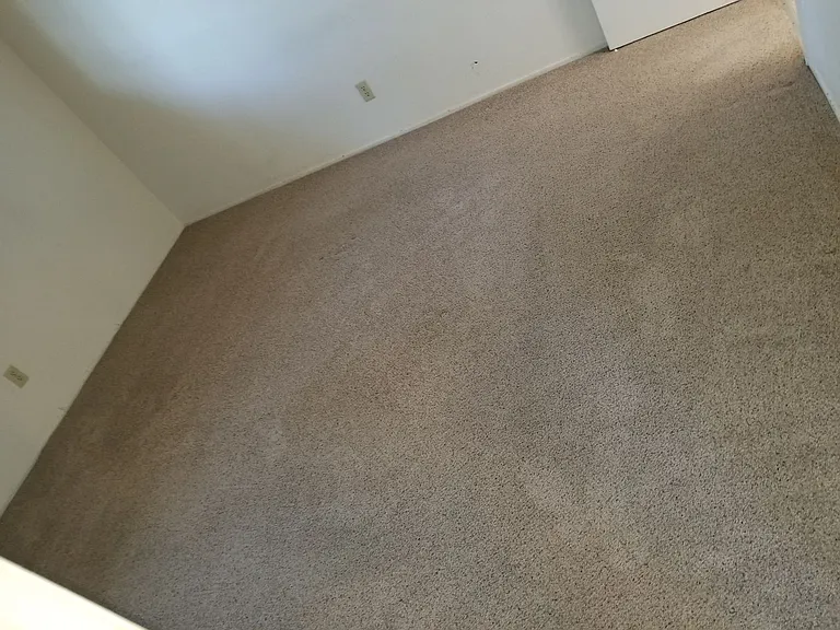 2312 Temple Dr — Photo 8