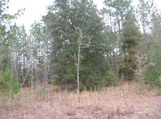 5761 Overlook Dr W, Keystone Heights, FL 32656