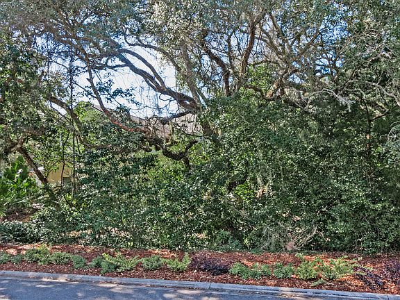 2nd image of 390 Ocean Forest Dr