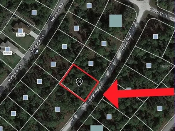 340 NATHAN AVENUE LOT 21, LEHIGH ACRES, FL 33974