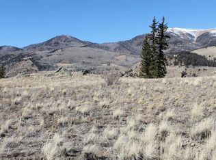 1267 Whiskey Lane, Creede, CO 81130