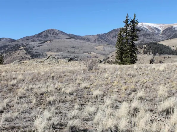 1267 Whiskey Lane, Creede, CO 81130