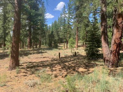 0 Kent Dr, Truckee, CA, 96161