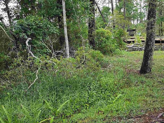 4th image of 9266 Lillian Hwy