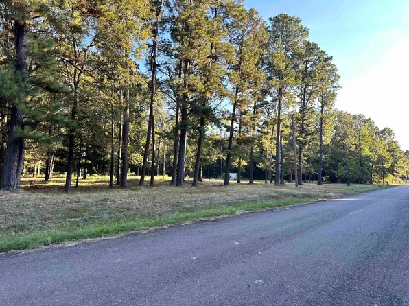 1524 County Road 3150, De Berry, TX 75639