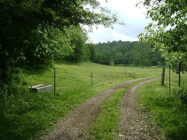 Long driveway through pasture up to homes