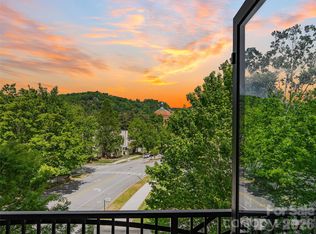 60 N Market St APT 217, Asheville, NC 28801