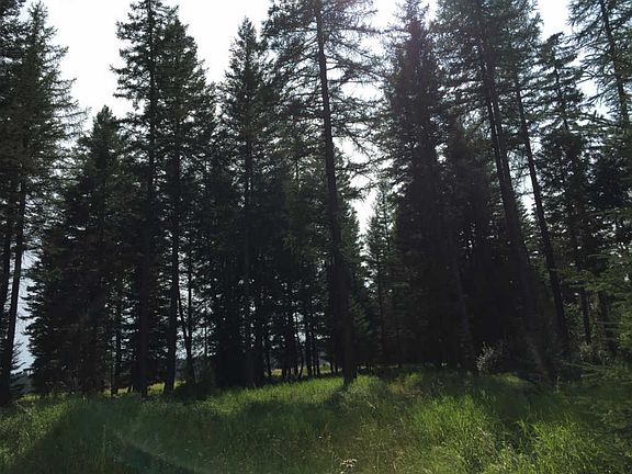 4th image of Lucky Creek Ln