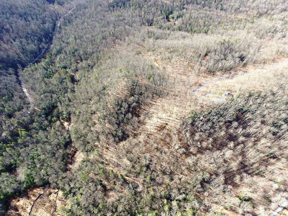1st image of Pine Knoll Ln