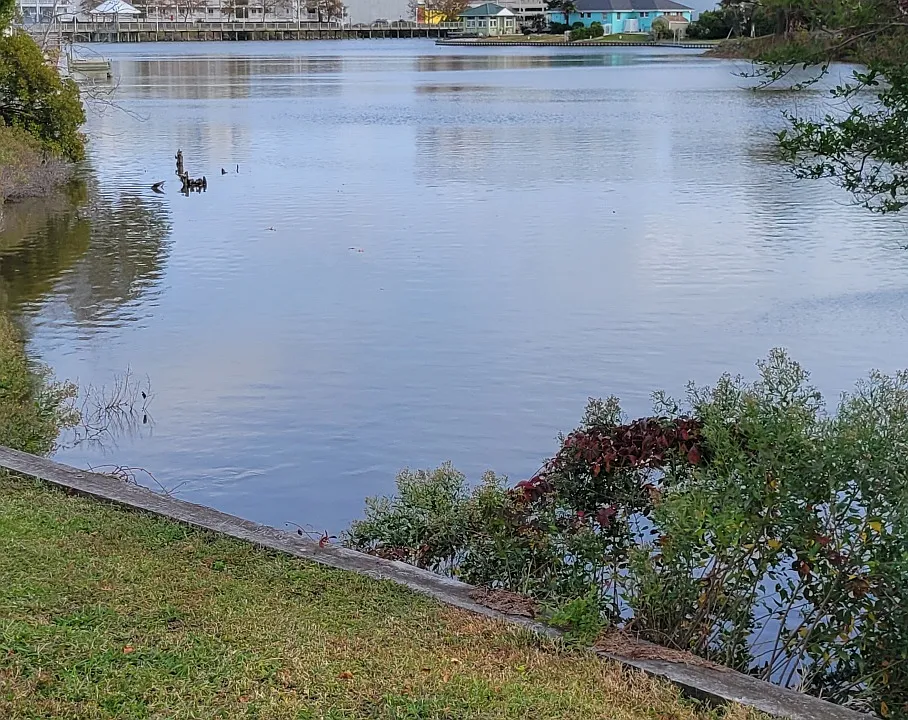 View of Lake Holly from all front rooms.
