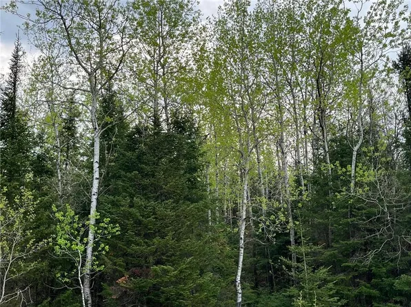 N/A Main Rd Road, Springbrook, WI 54875