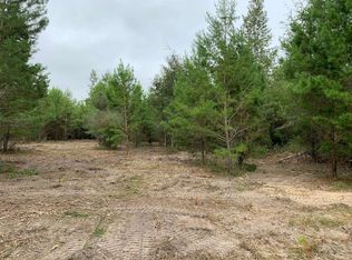 Vacant Ne Beulah Church Rd, Lee, FL 32059