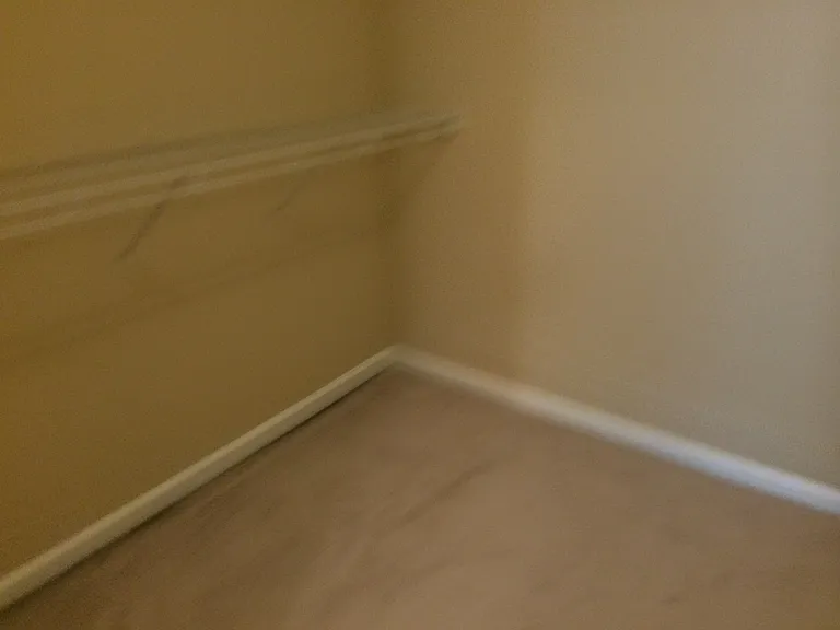 1384 Bellsmith Dr — Photo 11