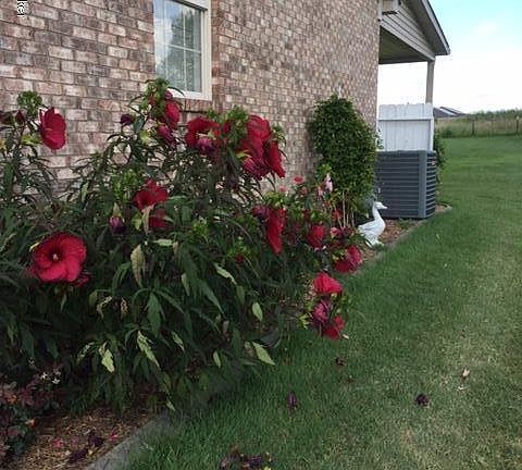 4th image of 370 Highland Springs Dr